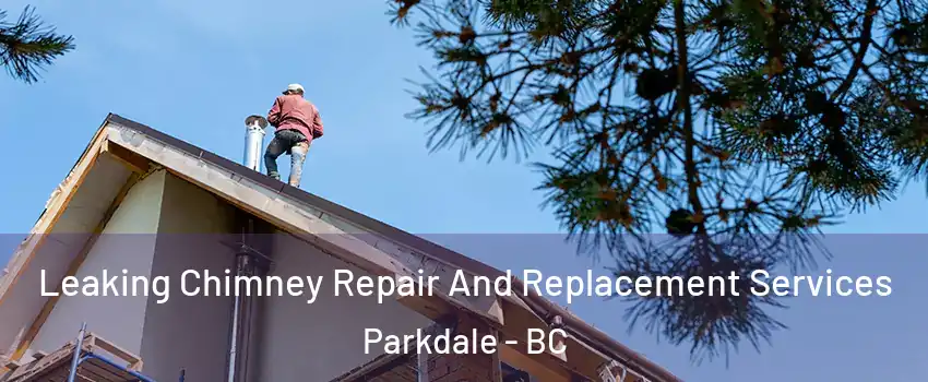 Leaking Chimney Repair And Replacement Services Parkdale - BC