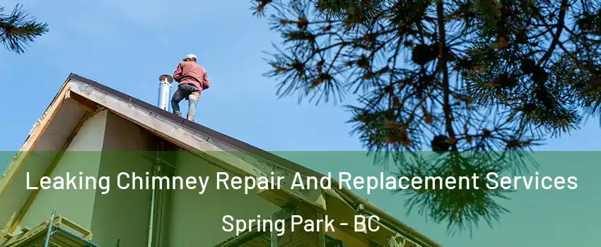  Leaking Chimney Repair And Replacement Services Spring Park - BC