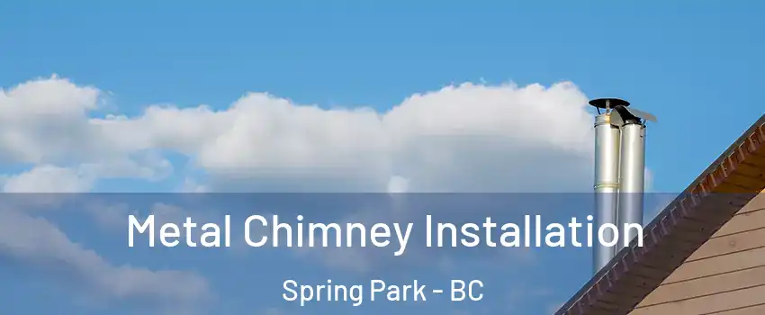  Metal Chimney Installation Spring Park - BC
