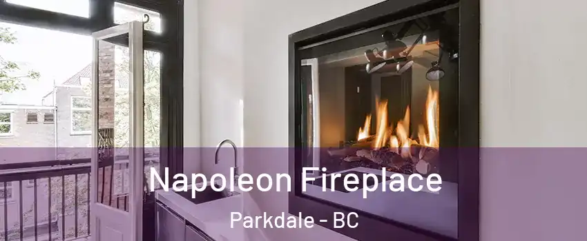  Napoleon Fireplace Parkdale - BC