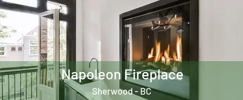  Napoleon Fireplace Sherwood - BC