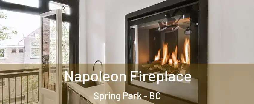  Napoleon Fireplace Spring Park - BC
