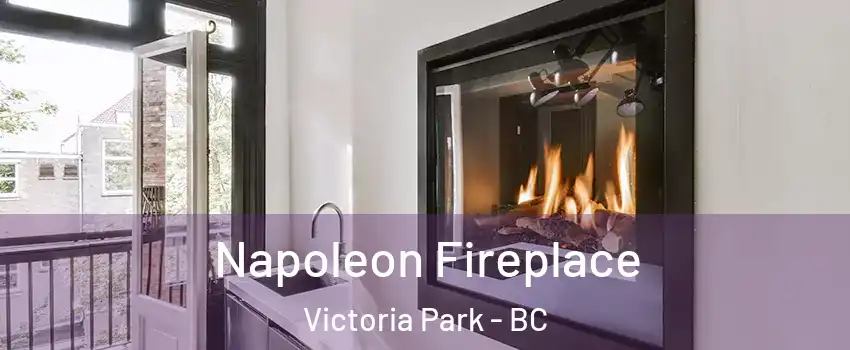  Napoleon Fireplace Victoria Park - BC