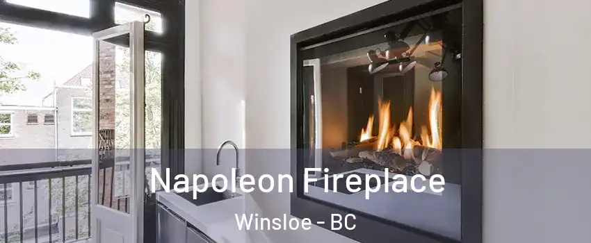  Napoleon Fireplace Winsloe - BC