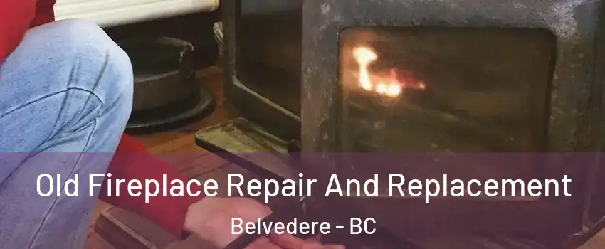  Old Fireplace Repair And Replacement Belvedere - BC