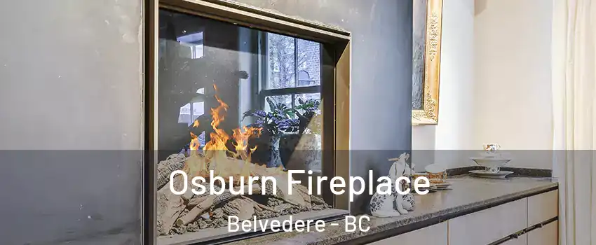 Osburn Fireplace Belvedere - BC