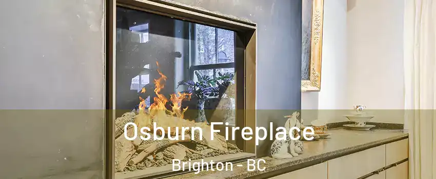 Osburn Fireplace Brighton - BC