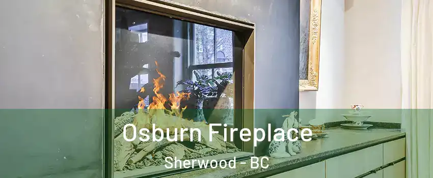  Osburn Fireplace Sherwood - BC
