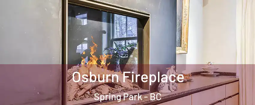  Osburn Fireplace Spring Park - BC