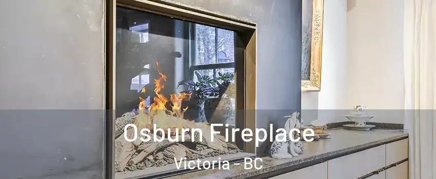  Osburn Fireplace Victoria - BC