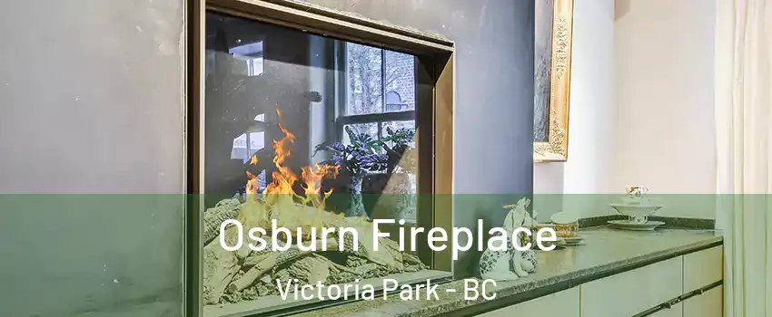  Osburn Fireplace Victoria Park - BC
