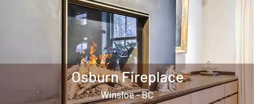 Osburn Fireplace Winsloe - BC