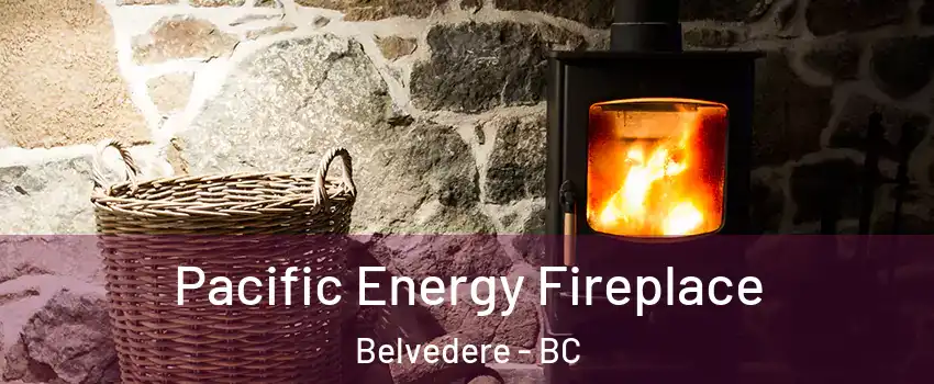  Pacific Energy Fireplace Belvedere - BC
