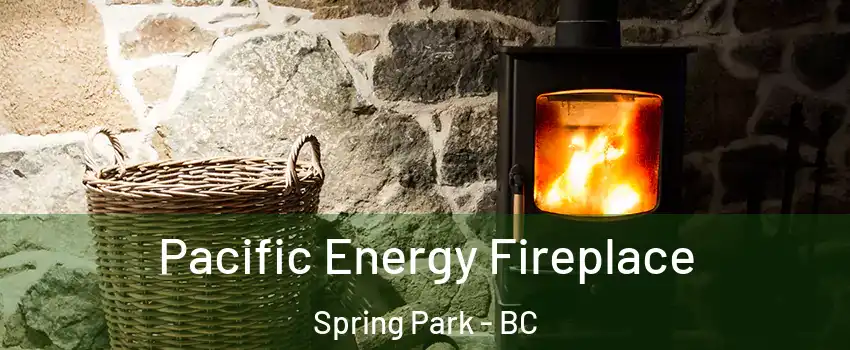 Pacific Energy Fireplace Spring Park - BC