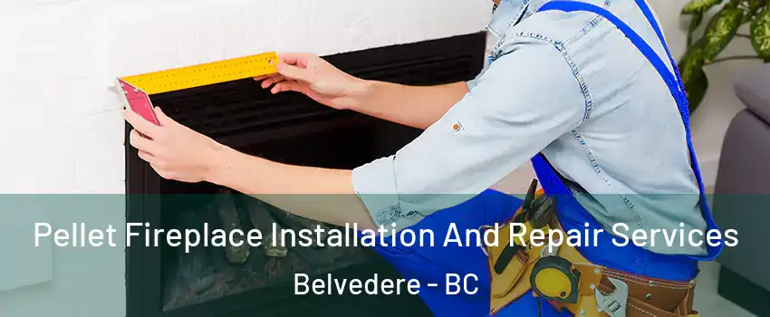 Pellet Fireplace Installation And Repair Services Belvedere - BC