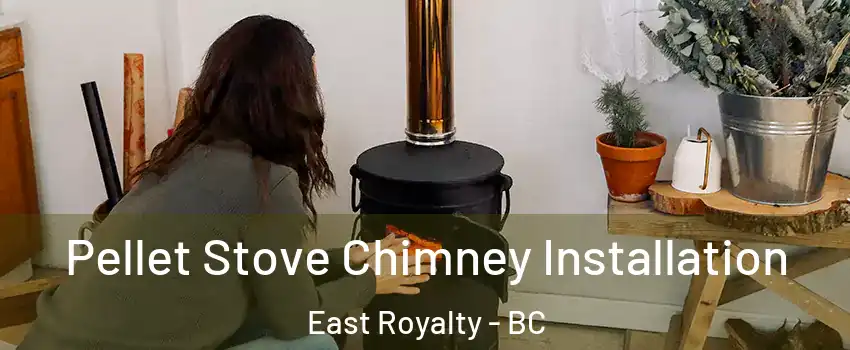  Pellet Stove Chimney Installation East Royalty - BC