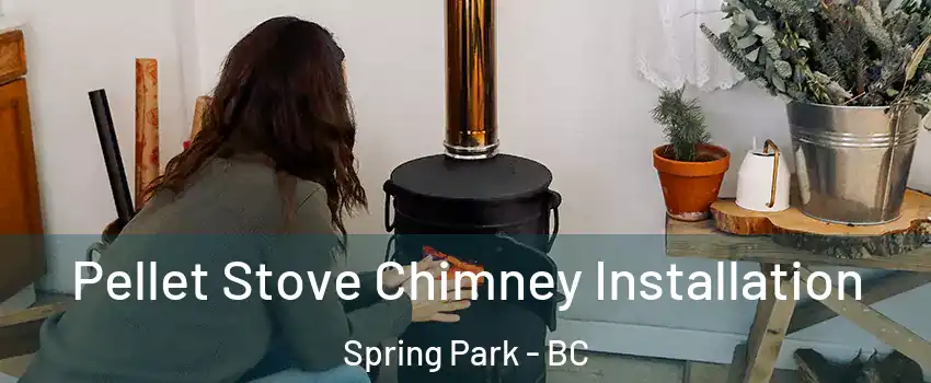  Pellet Stove Chimney Installation Spring Park - BC