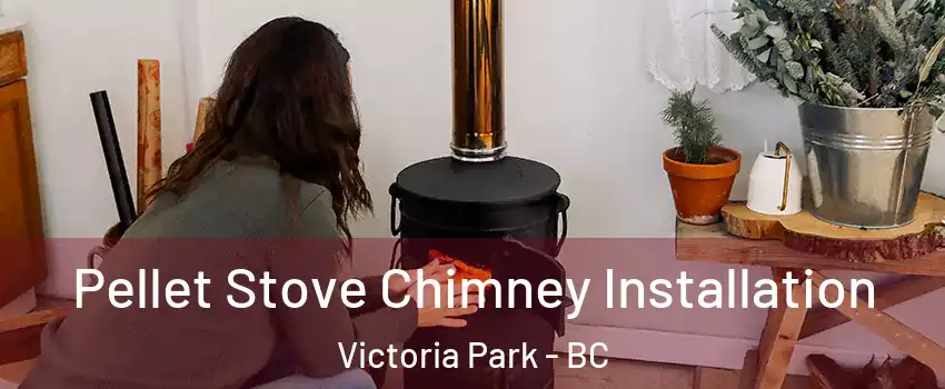  Pellet Stove Chimney Installation Victoria Park - BC