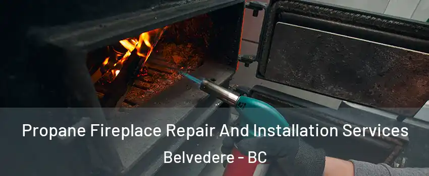 Propane Fireplace Repair And Installation Services Belvedere - BC