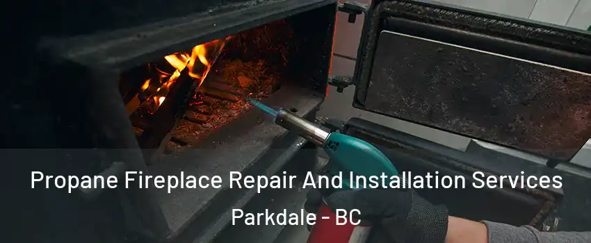 Propane Fireplace Repair And Installation Services Parkdale - BC