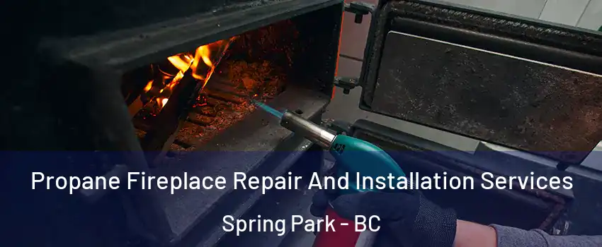  Propane Fireplace Repair And Installation Services Spring Park - BC