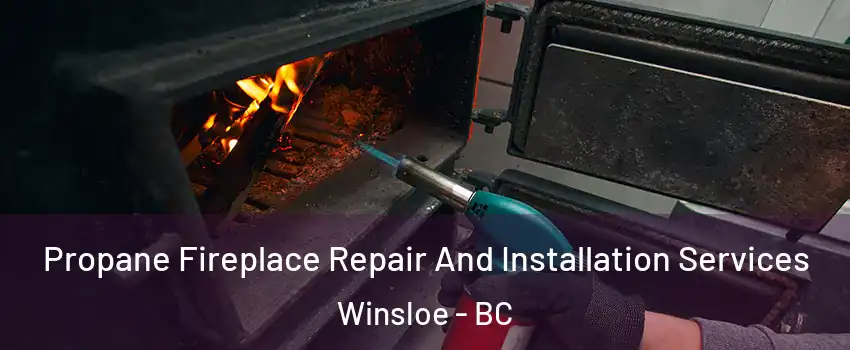 Propane Fireplace Repair And Installation Services Winsloe - BC