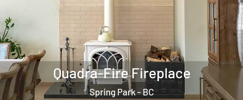  Quadra-Fire Fireplace Spring Park - BC
