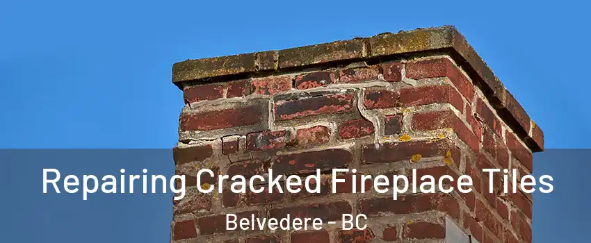 Repairing Cracked Fireplace Tiles Belvedere - BC