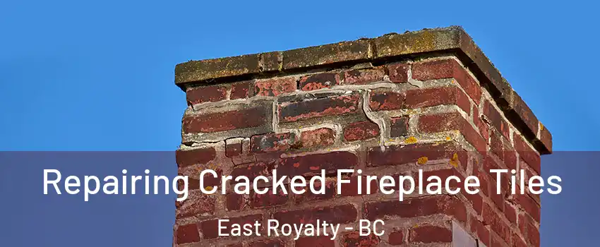  Repairing Cracked Fireplace Tiles East Royalty - BC