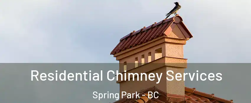  Residential Chimney Services Spring Park - BC