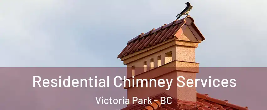  Residential Chimney Services Victoria Park - BC
