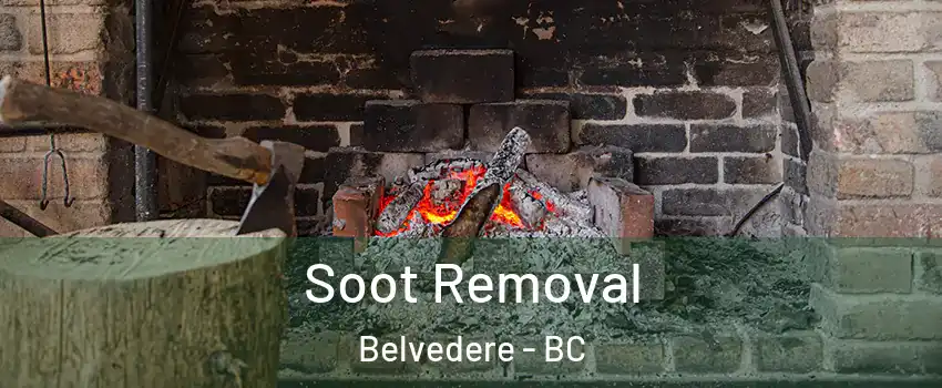  Soot Removal Belvedere - BC