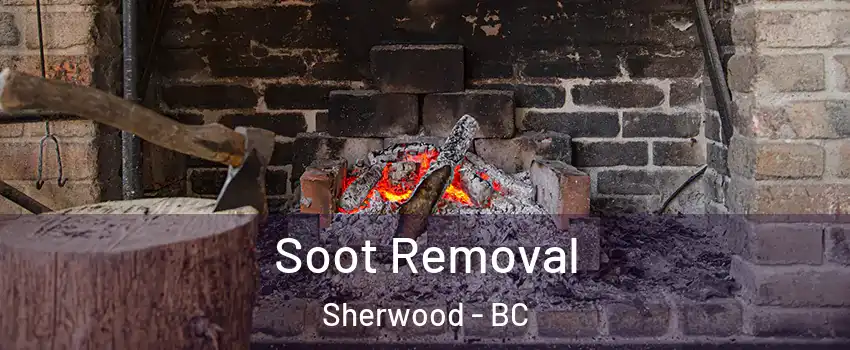  Soot Removal Sherwood - BC