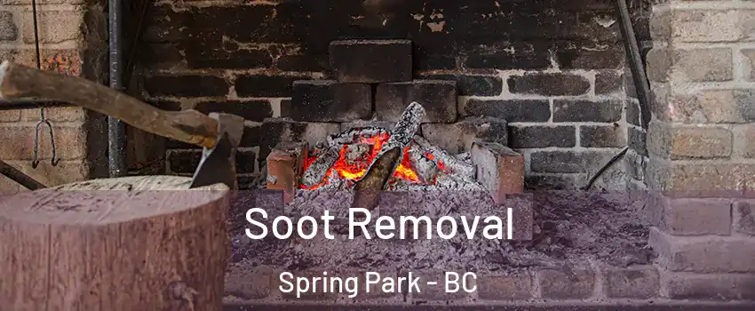  Soot Removal Spring Park - BC