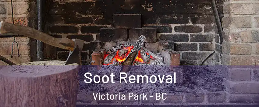  Soot Removal Victoria Park - BC