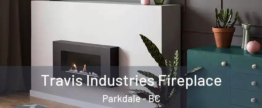  Travis Industries Fireplace Parkdale - BC