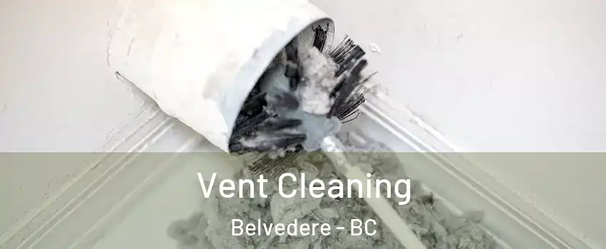  Vent Cleaning Belvedere - BC