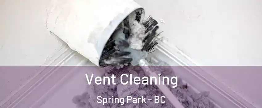  Vent Cleaning Spring Park - BC