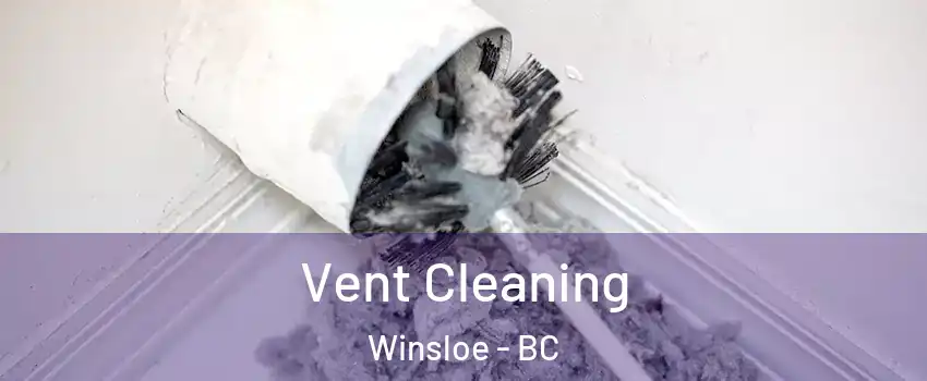  Vent Cleaning Winsloe - BC