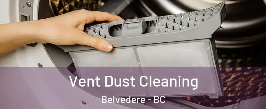  Vent Dust Cleaning Belvedere - BC