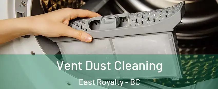  Vent Dust Cleaning East Royalty - BC