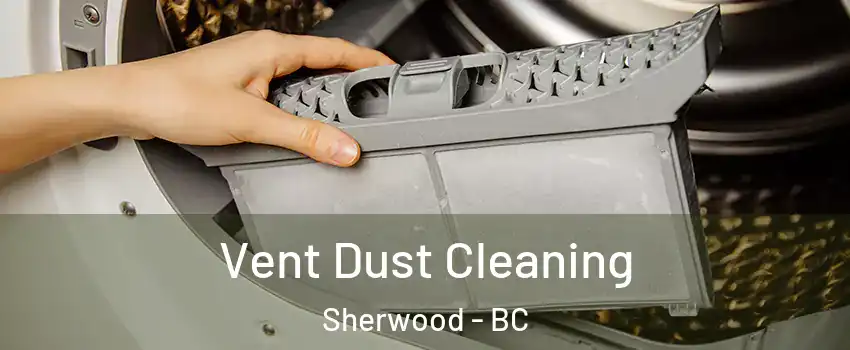  Vent Dust Cleaning Sherwood - BC