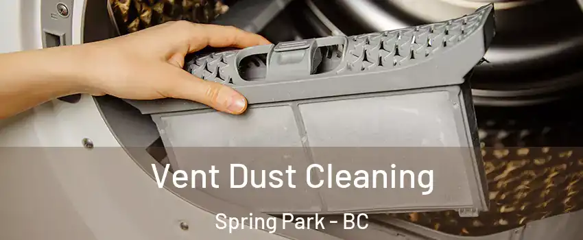  Vent Dust Cleaning Spring Park - BC