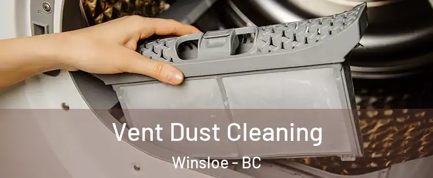 Vent Dust Cleaning Winsloe - BC