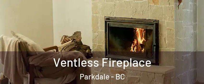  Ventless Fireplace Parkdale - BC
