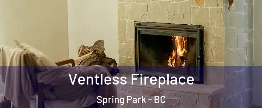  Ventless Fireplace Spring Park - BC