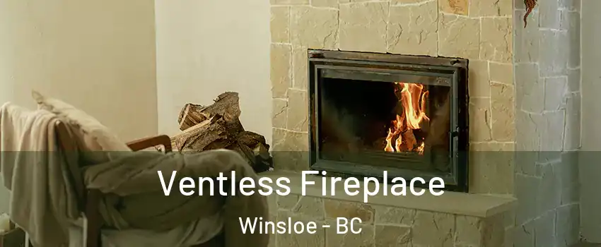  Ventless Fireplace Winsloe - BC