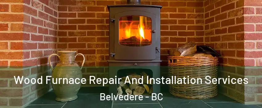  Wood Furnace Repair And Installation Services Belvedere - BC