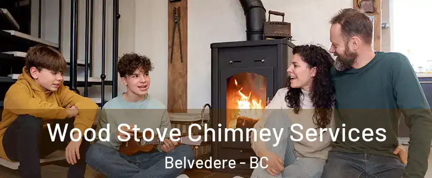 Wood Stove Chimney Services Belvedere - BC