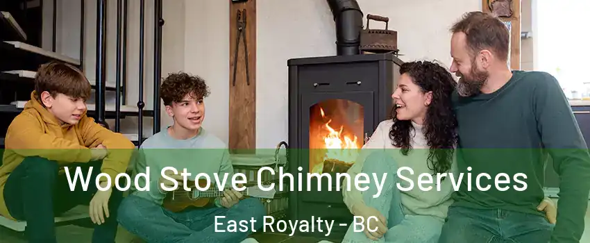  Wood Stove Chimney Services East Royalty - BC